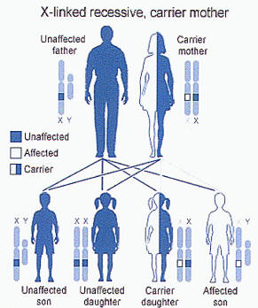 X-linked recessive inheritance